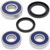 KIT ROULEMENTS DE ROUE ARRIERE POUR FJ1100, FJ1200