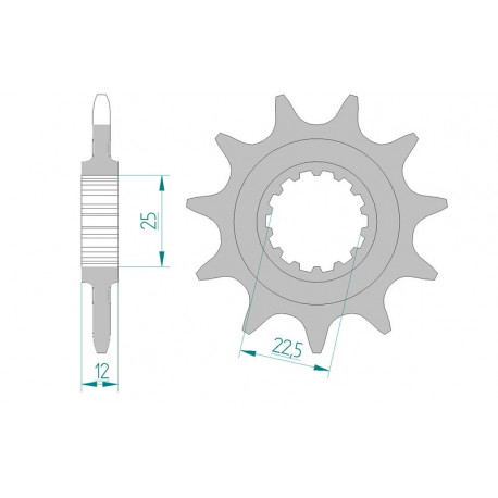 Pignon AFAM 10 dents acier type 97200 pas 520 GAS-GAS TXT 125