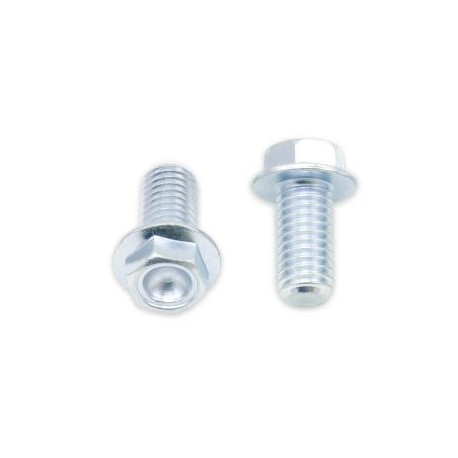 Kit vis + rondelles M6X1X20mm Bolt par 10