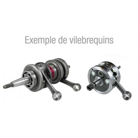 Vilebrequin TECNIUM masse pleine Peugeot Ludix