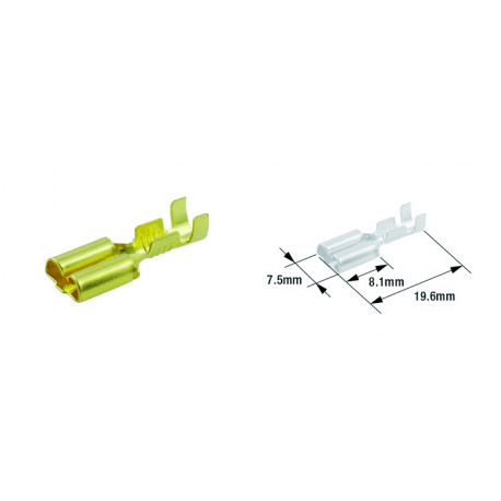 Cosse électrique femelle type 250 TOURMAX