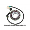 Stator ELECTROSPORT Honda CBR600RR